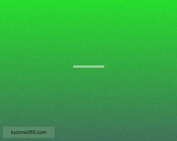 世界杯买球平台全面解析与投注技巧全攻略指南